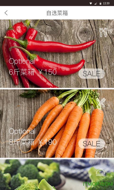 懂菜网的图册