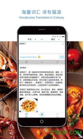猫道翻译app(专注菜品翻译)的图册