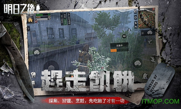 明日之后虫虫版的图册