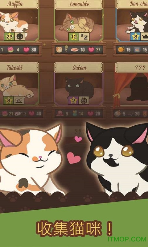 绒毛猫咖啡厅的图册