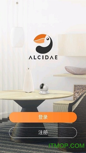海雀门铃的图册