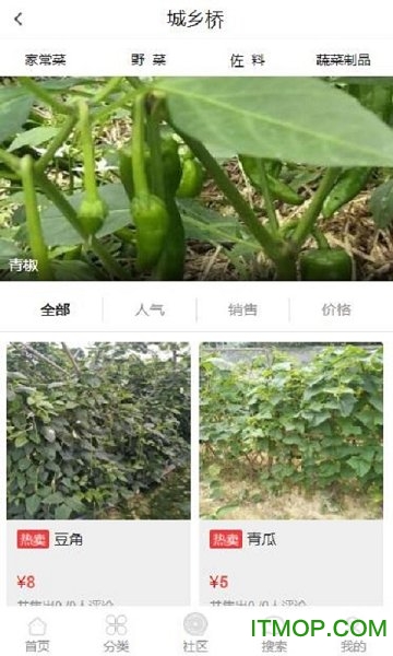 城乡桥的图册