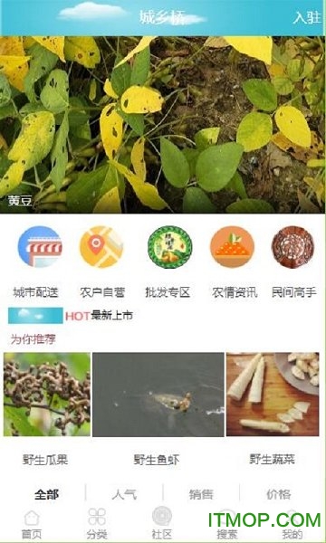城乡桥的图册