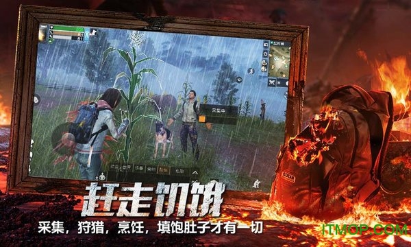 明日之后一加手机版本的图册