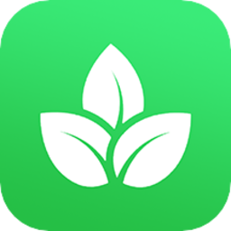 种植物语手机版