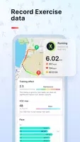 veryfit的图册