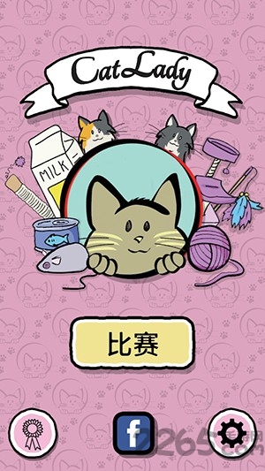 猫女士最新版的图册