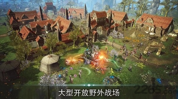 天堂2革命台服手游官方版的图册