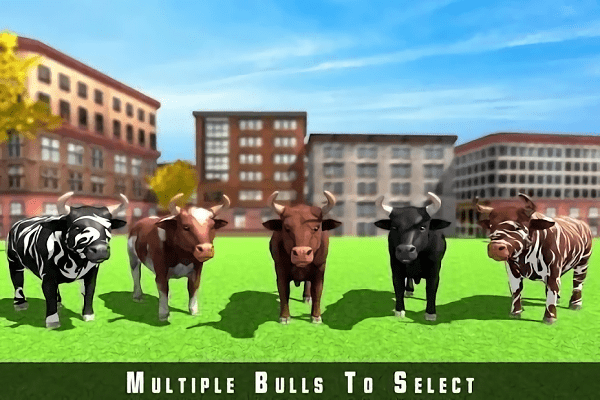 愤怒野牛赛跑游戏(crazyvsrealbullrun)的图册