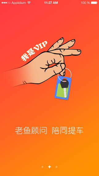 老鱼购车的图册