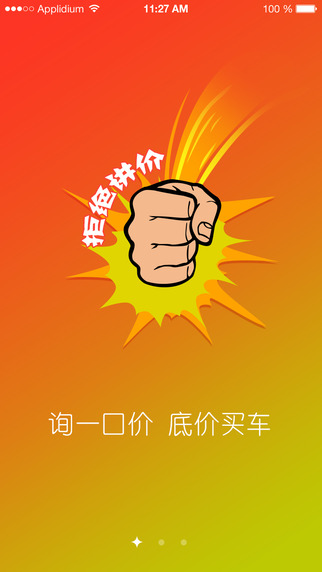 老鱼购车的图册