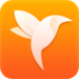 净网浏览器app