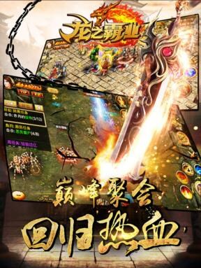 龙之霸业加强版的图册