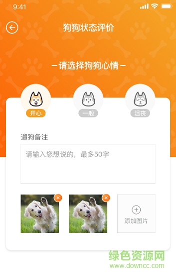 遛遛狗的图册