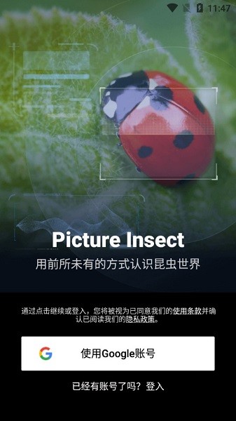 PictureInsect精简版的图册