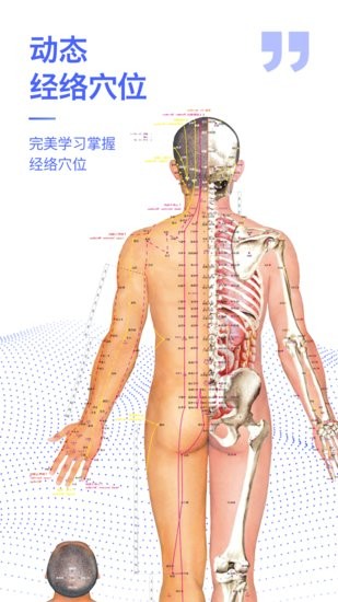 2024人体解剖学图谱的图册