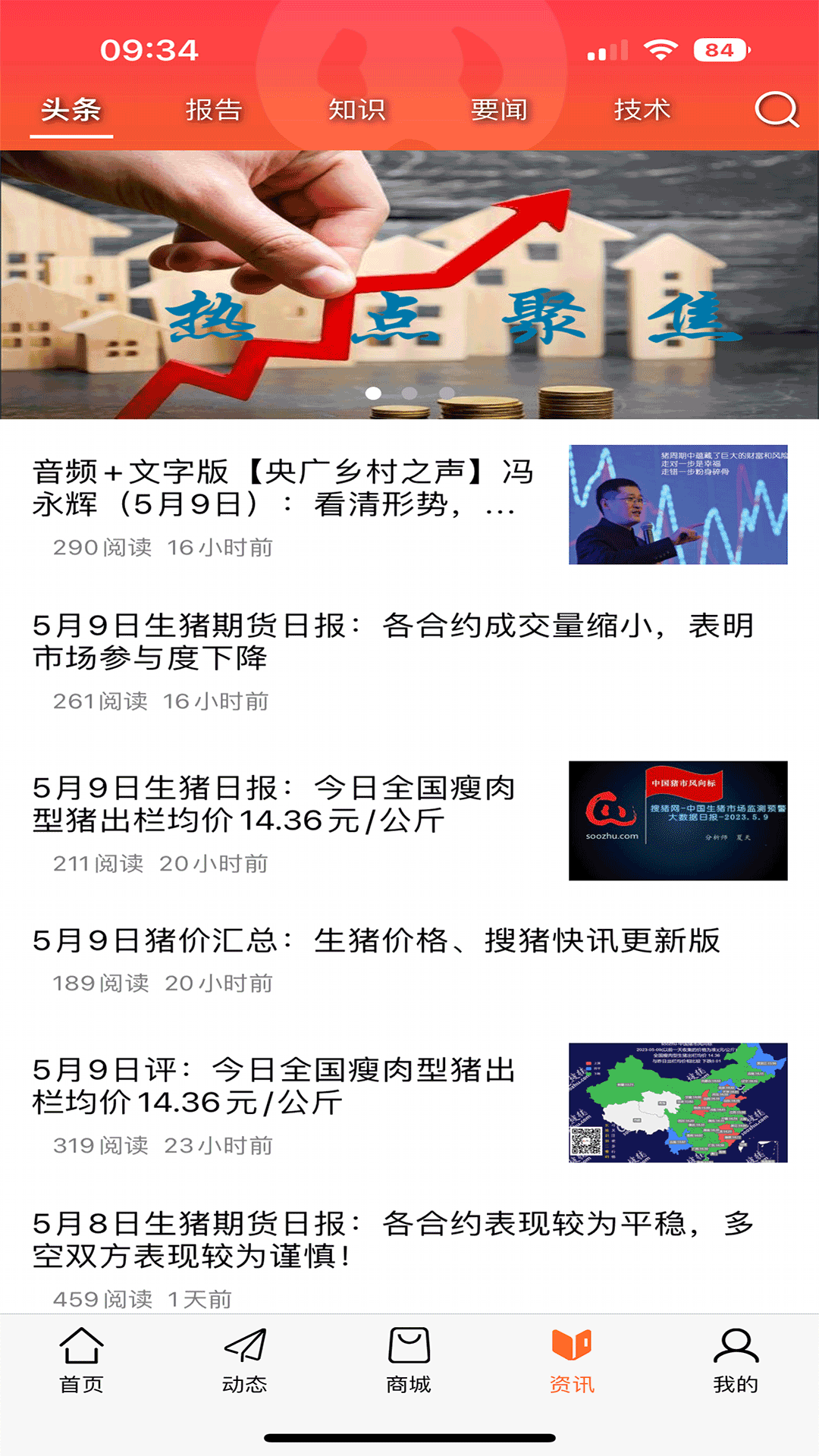金猪的图册