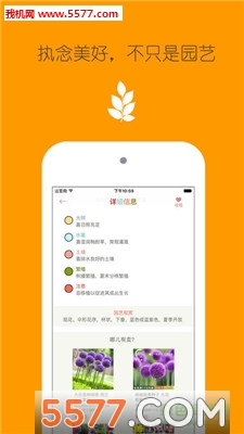 花花草草(花之谷手机版)的图册