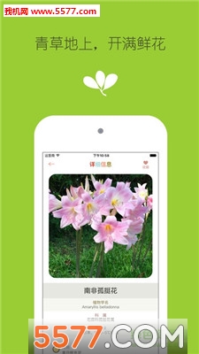 花花草草(花之谷手机版)的图册