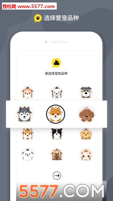 斗宠app的图册