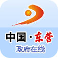 中国东营软件