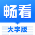 畅看大字版安卓版