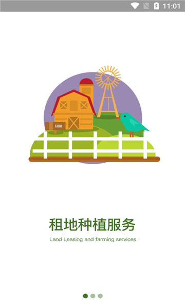山里猫的图册